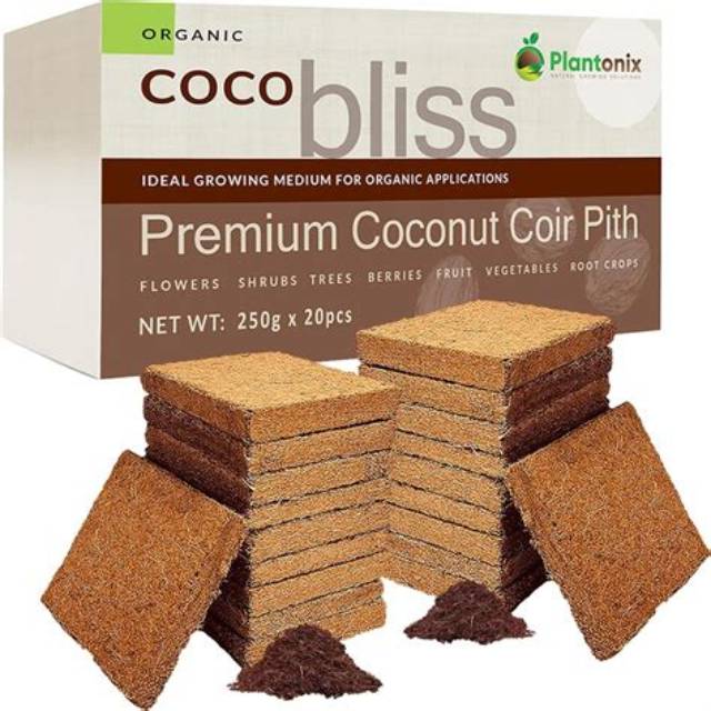 Coco Bliss - Bloginfo