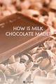 Inside 'Chocolate Milk': What Made the Legends of Chamberlain Heights Episode So Polarizing?